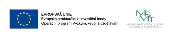 eumsmt
